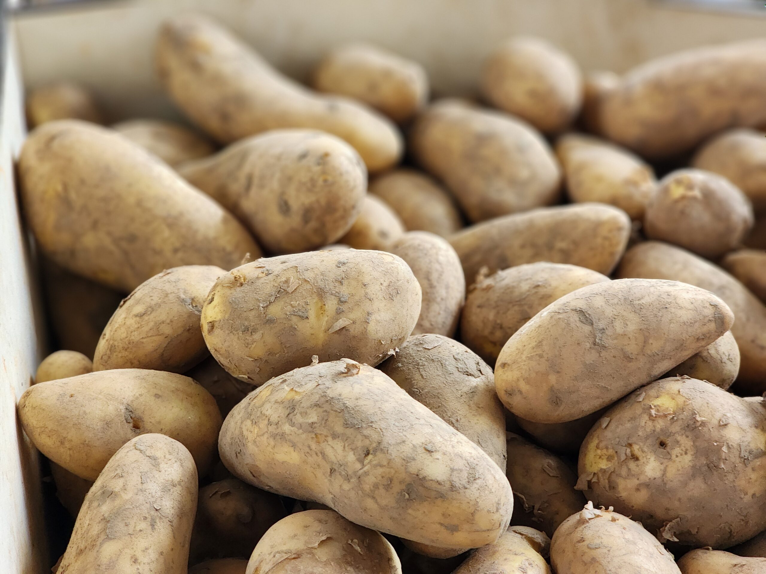 Leckeres aus unserem Hofladen