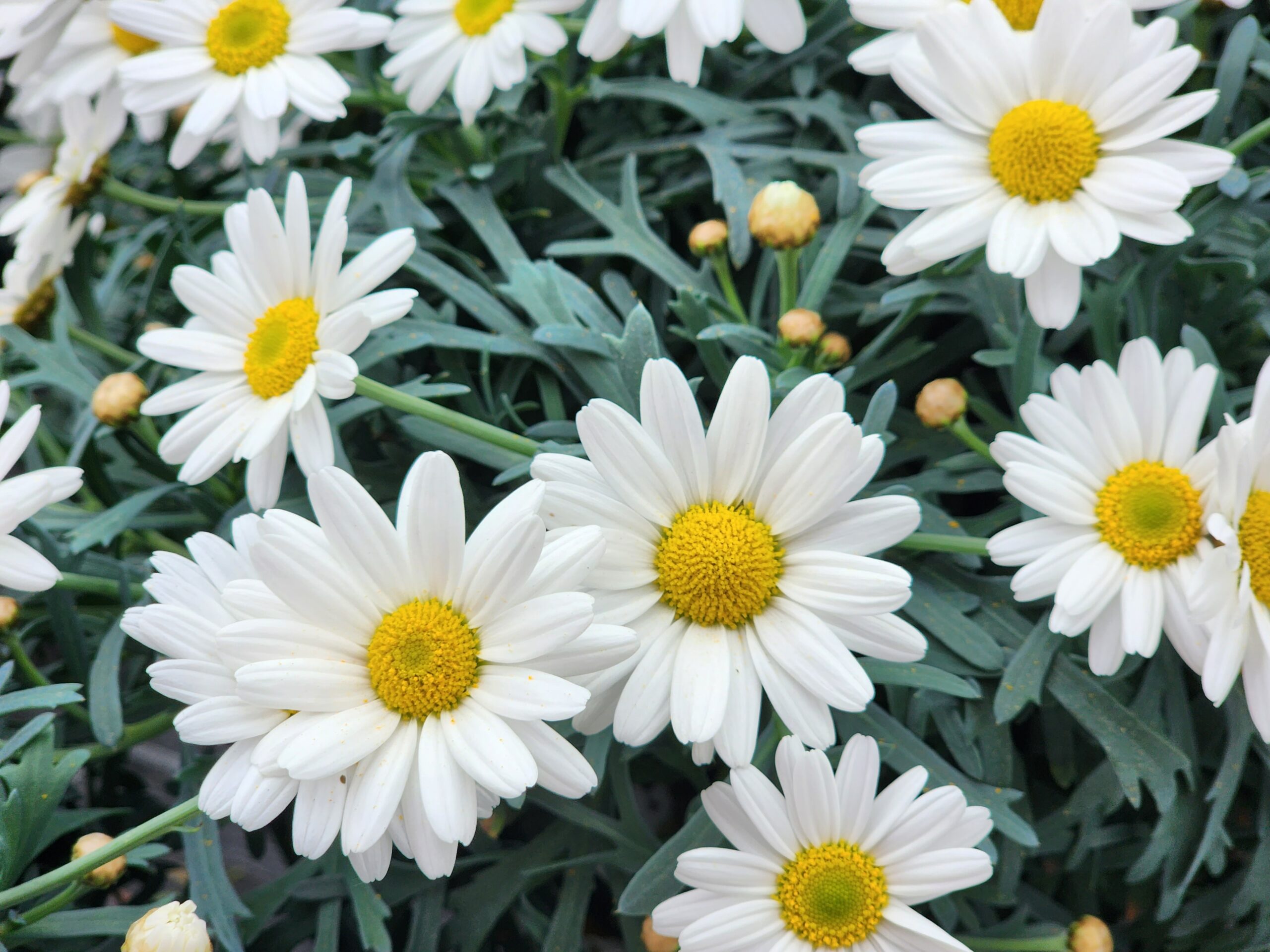 Der Frühling steht vor der Tür